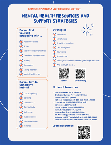 Mental Health Support Strategies English